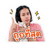 881763626