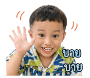 881764833