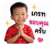 881766462