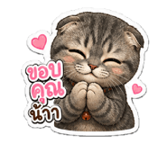 881766569