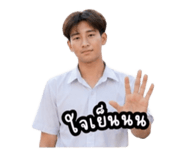 881766613