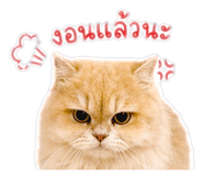 881769053