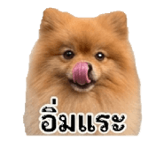881769540
