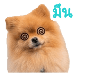 881769550