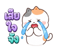 881770241