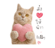 881770724