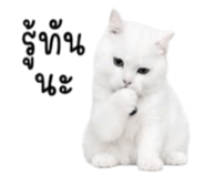 881770962