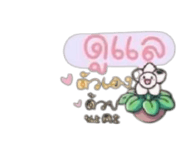 881779706
