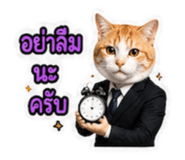 881779972