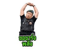 881780043