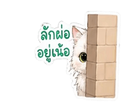 881780093