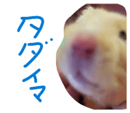 881787905