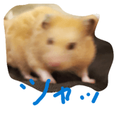 881787913