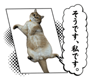 881787997
