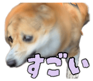881789281