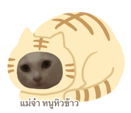 881789723