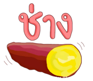 881790207