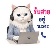 881801393
