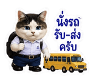 881802232