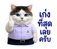 881802246