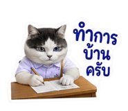 881802258
