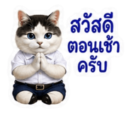 881802308