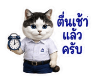 881802309