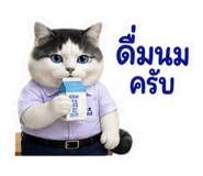 881802331