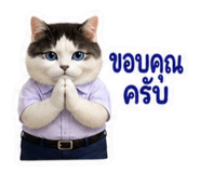 881802332