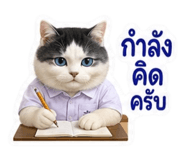 881802339