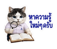 881802340