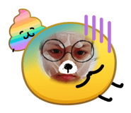 881807066