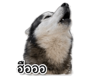 881807160
