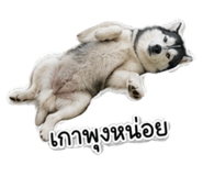 881807163