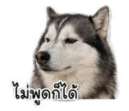 881807170
