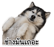 881807175