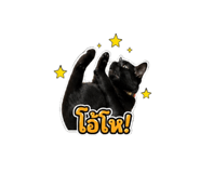 881807660