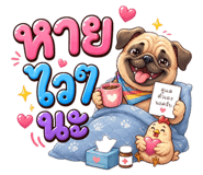 881809620