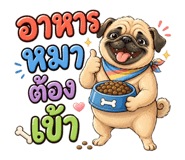 881809624