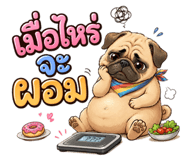 881809628