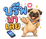 881809629