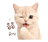 881809739
