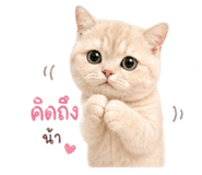 881809741