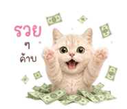 881809743