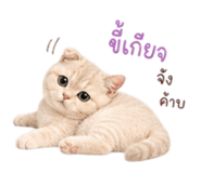881809744