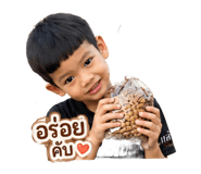 881811100