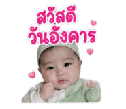 881812443