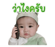 881812462