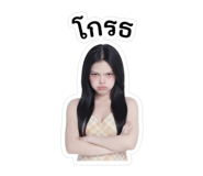 881813066