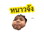 881813299